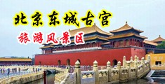 大鸡巴操黄色网站中国北京-东城古宫旅游风景区