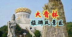 免费搞鸡巴黄色网站中国浙江-绍兴大香林旅游风景区